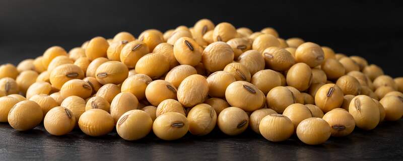 Illustrative soybeans